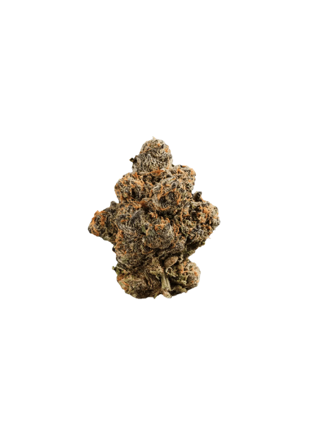 420 COMPOUND 30/1 CA GAP