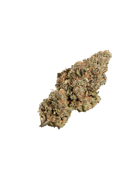420 Compound 30/1 CA BBW Bling Blaow