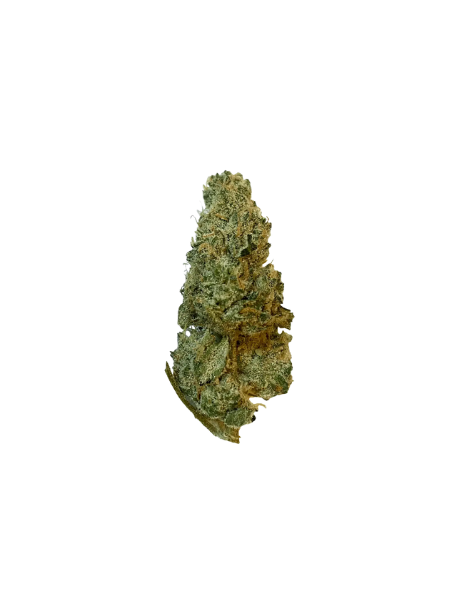 420 Evolution 27/1 CA GMO Cookies