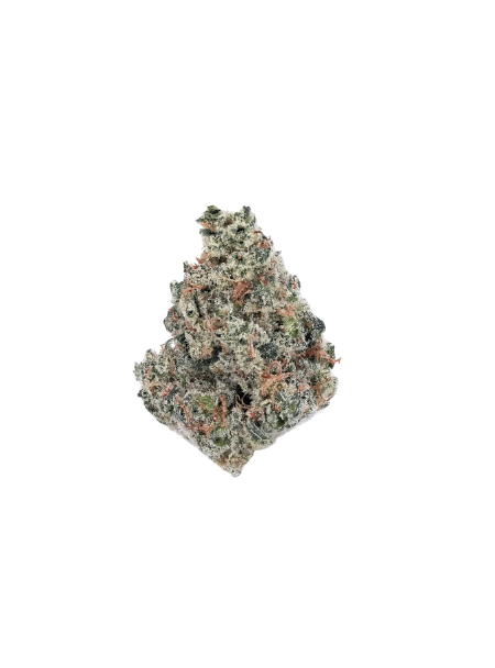 420 Evolution 27/1 CA MGD Magic Gum Drop