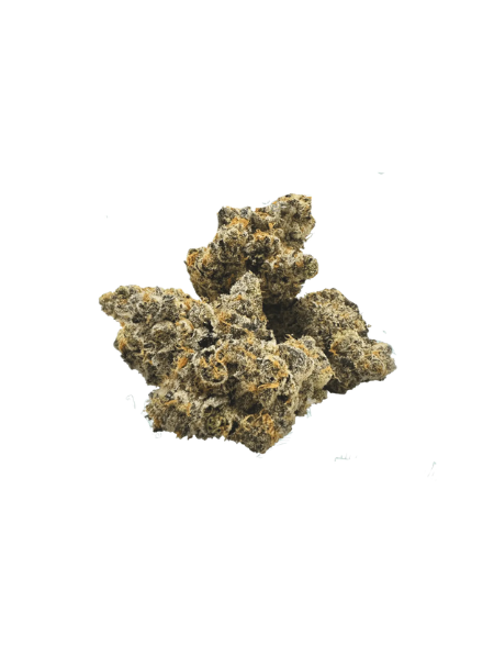 BOTANICS Tonic Fuel 22/1 Gary Payton