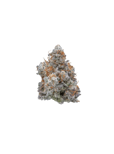 Eufloria 30/1 MCD MAC Deluxe