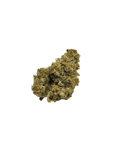Nimbus EASY 26/1 - French Cookies