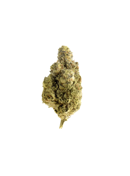 Slouu 22/1 PS3 CA OGK OG Kush