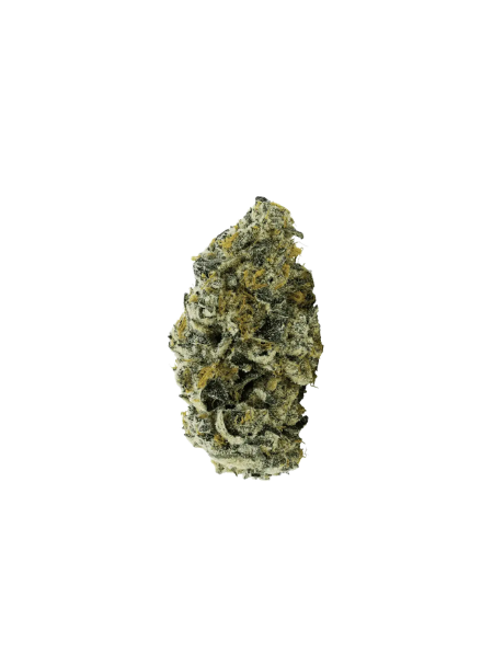 avaay 34/1 JFP Jet Fuel Pie