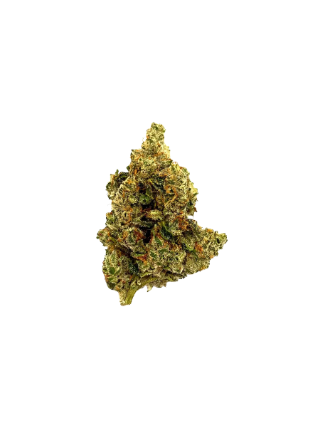420 Evolution 25/1 CA STR Star Struck