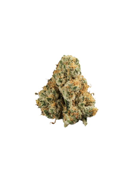 420 Evolution 30/1 CA PCH Peach Chementine