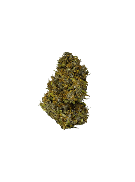Canopy Jack Haze 21/1