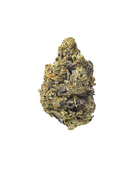 Canopy KMI 28/1 Kush Mints