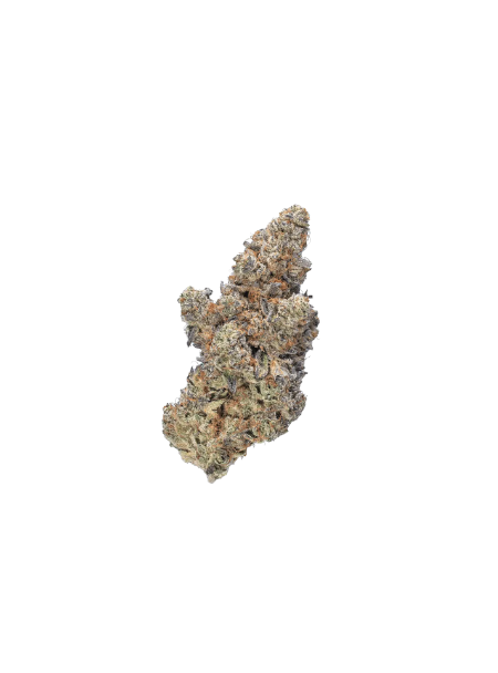 Enua 27/1 BDO CA Black Dolato
