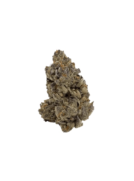 slouu 27/1 PS3 CA SBS Sugar Berry Sorbet