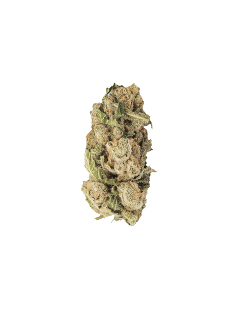 slouu 30/1 CDO Chem Dawg OG